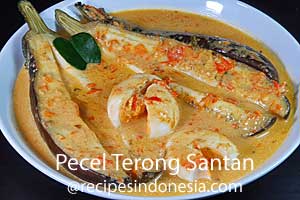 Pecel Terong Santan