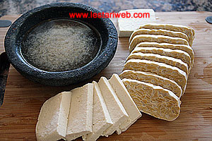 Tahu Tempe Iris