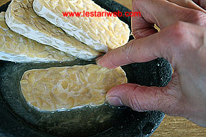 Tahu Tempe Direndam Bumbu