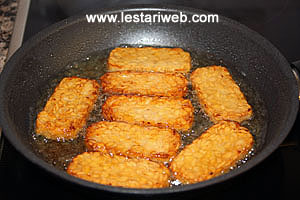 Tempe Goreng
