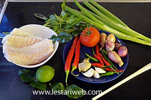 Bahan Ikan Kuah Asam