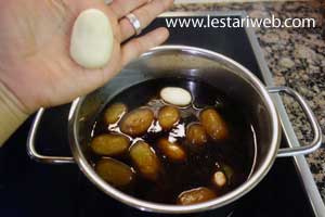 Biji Salak Step