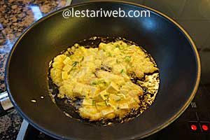 Membuat Dadar Tahu Step 9