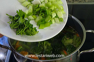 Garnish Untuk Sop Ayam