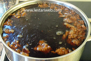 Larutan Gula Asam