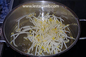 Memblansir Taoge