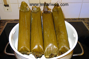 Bungkusan Lontong