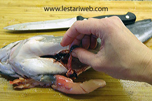 Menyiangi Ikan