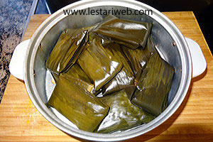 Nagasari Matang