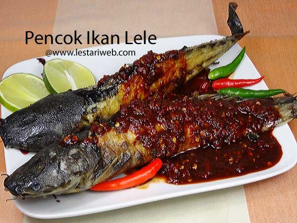 Kumpulan Resep Asli Indonesia - Pencok Ikan Lele