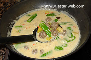 Sayur Bola Daging Matang