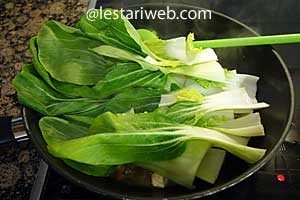 pak choi dimasak tahu saus tiram
