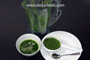 Membuat Warna Hijau Dari Daun Pandan